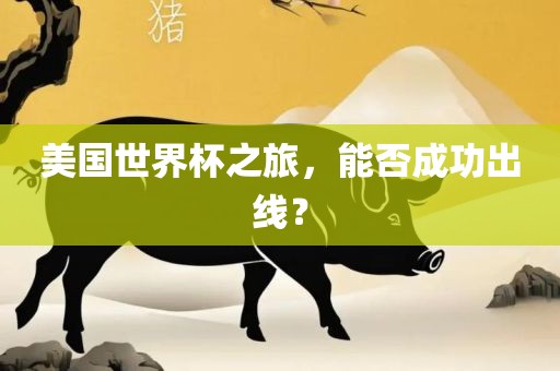 美国世界杯之旅，能否成功出线？