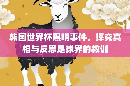 韩国世界杯黑哨事件，探究真相与反思足球界的教训