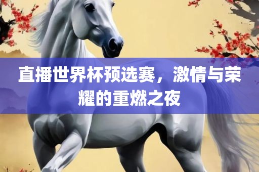 直播世界杯预选赛，激情与荣耀的重燃之夜