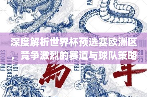 深度解析世界杯预选赛欧洲区，竞争激烈的赛道与球队策略