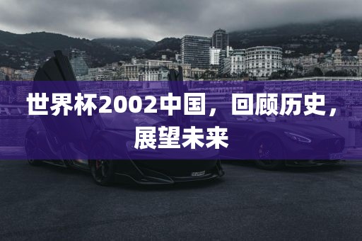 世界杯2002中国，回顾历史，展望未来