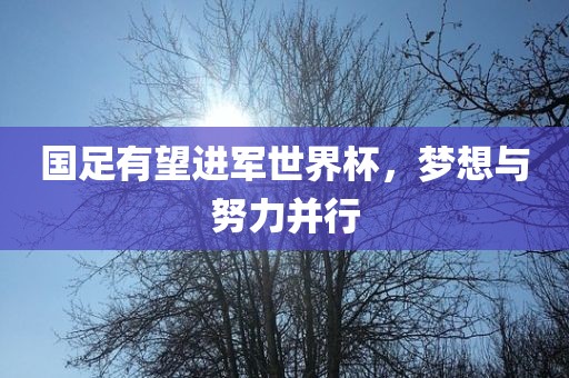 国足有望进军世界杯，梦想与努力并行
