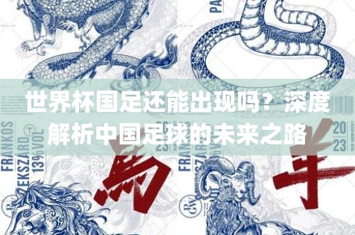 世界杯国足还能出现吗？深度解析中国足球的未来之路