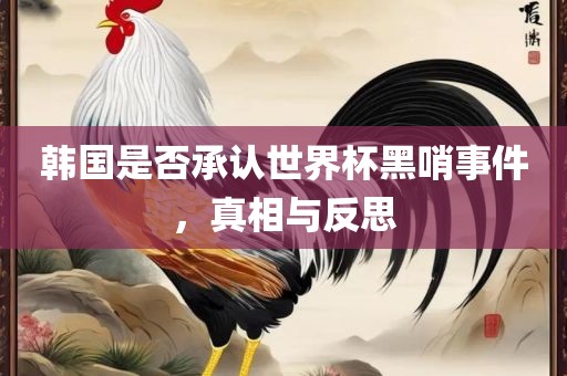 韩国是否承认世界杯黑哨事件，真相与反思