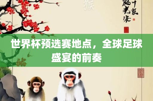 世界杯预选赛地点，全球足球盛宴的前奏