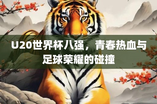 U20世界杯八强，青春热血与足球荣耀的碰撞