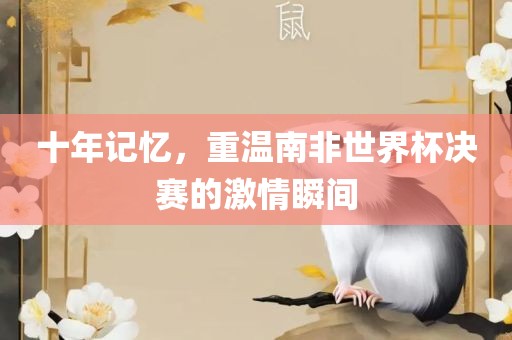 十年记忆，重温南非世界杯决赛的激情瞬间