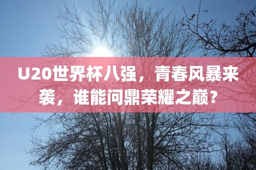 U20世界杯八强，青春风暴来袭，谁能问鼎荣耀之巅？