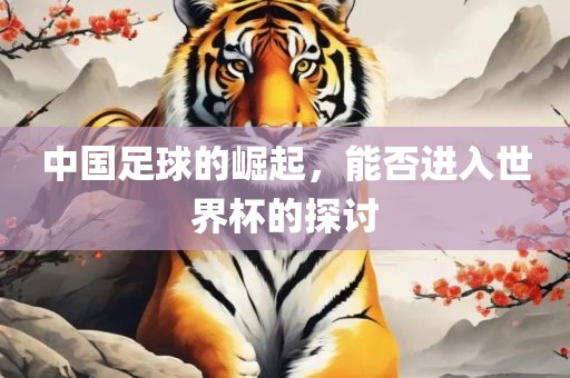 中国足球的崛起，能否进入世界杯的探讨