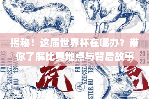 揭秘！这届世界杯在哪办？带你了解比赛地点与背后故事
