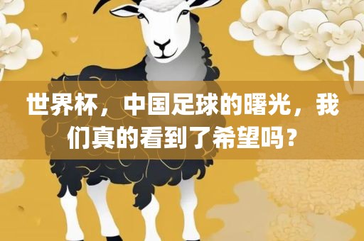 世界杯，中国足球的曙光，我们真的看到了希望吗？