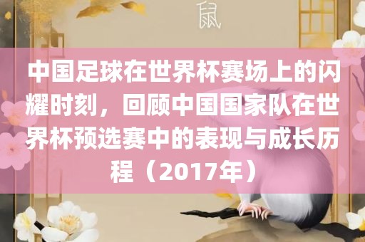 中国足球在世界杯赛场上的闪耀时刻，回顾中国国家队在世界杯预选赛中的表现与成长历程（2017年）