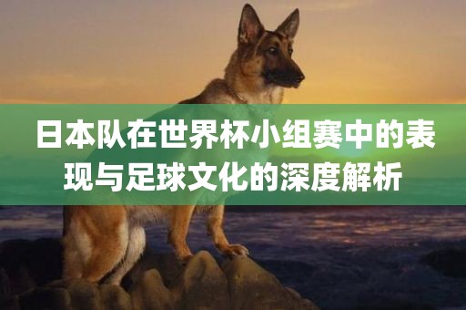 日本队在世界杯小组赛中的表现与足球文化的深度解析