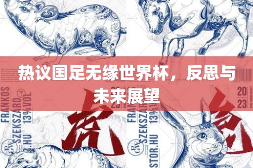 热议国足无缘世界杯，反思与未来展望