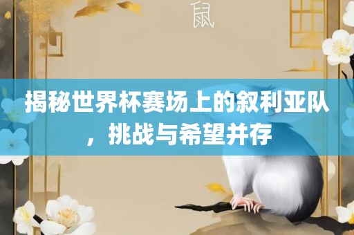 揭秘世界杯赛场上的叙利亚队，挑战与希望并存