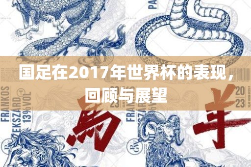 国足在2017年世界杯的表现，回顾与展望