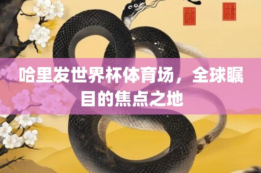 哈里发世界杯体育场，全球瞩目的焦点之地