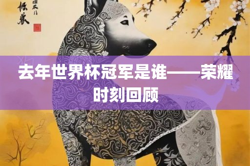 去年世界杯冠军是谁——荣耀时刻回顾