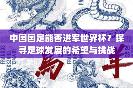 中国国足能否进军世界杯？探寻足球发展的希望与挑战