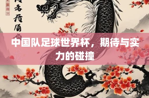 中国队足球世界杯，期待与实力的碰撞