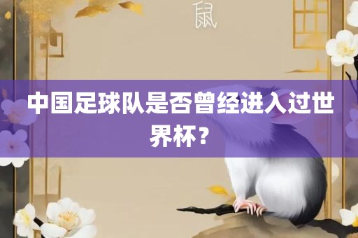 中国足球队是否曾经进入过世界杯？