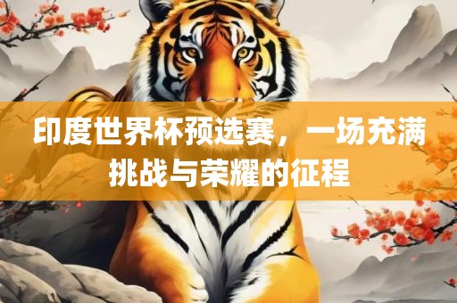 印度世界杯预选赛，一场充满挑战与荣耀的征程
