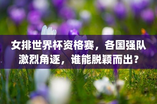 女排世界杯资格赛，各国强队激烈角逐，谁能脱颖而出？