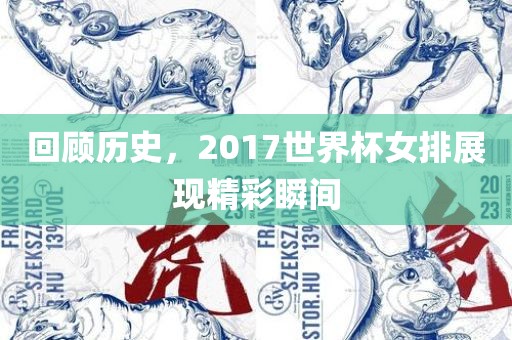 回顾历史，2017世界杯女排展现精彩瞬间