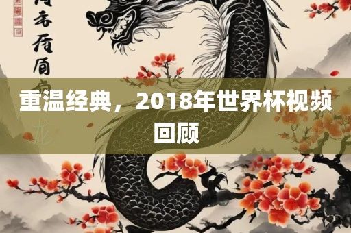 重温经典，2018年世界杯视频回顾