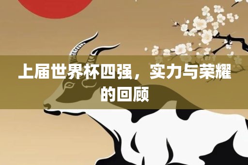 上届世界杯四强，实力与荣耀的回顾
