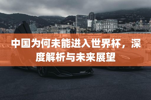 中国为何未能进入世界杯，深度解析与未来展望