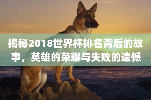 揭秘2018世界杯排名背后的故事，英雄的荣耀与失败的遗憾