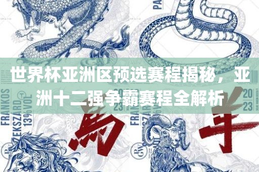 世界杯亚洲区预选赛程揭秘，亚洲十二强争霸赛程全解析