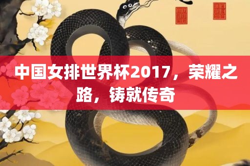 中国女排世界杯2017，荣耀之路，铸就传奇