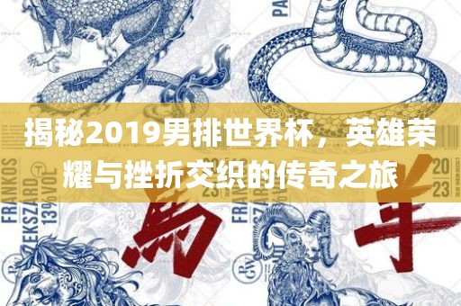 揭秘2019男排世界杯，英雄荣耀与挫折交织的传奇之旅