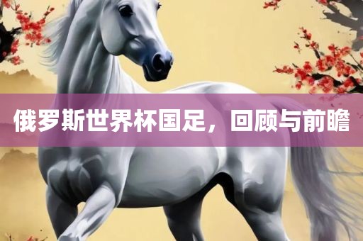 俄罗斯世界杯国足，回顾与前瞻