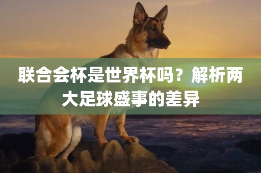 联合会杯是世界杯吗？解析两大足球盛事的差异