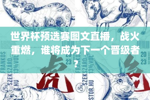 世界杯预选赛图文直播，战火重燃，谁将成为下一个晋级者？