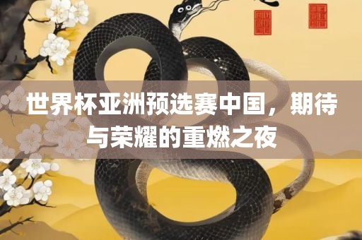 世界杯亚洲预选赛中国，期待与荣耀的重燃之夜