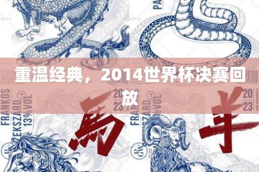 重温经典，2014世界杯决赛回放