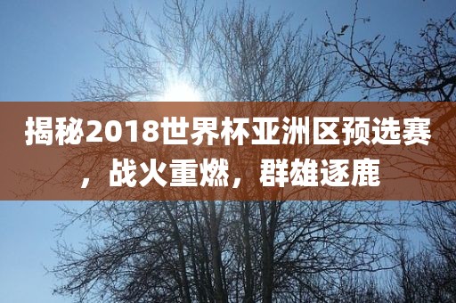 揭秘2018世界杯亚洲区预选赛，战火重燃，群雄逐鹿