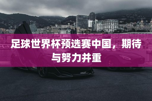 足球世界杯预选赛中国，期待与努力并重