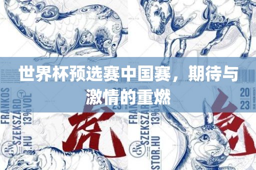 世界杯预选赛中国赛，期待与激情的重燃