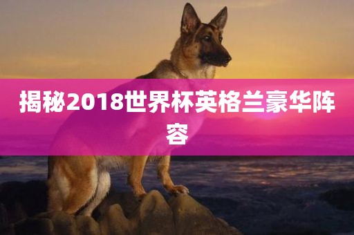 揭秘2018世界杯英格兰豪华阵容