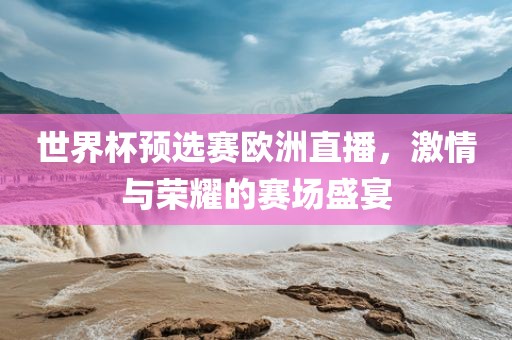 世界杯预选赛欧洲直播，激情与荣耀的赛场盛宴