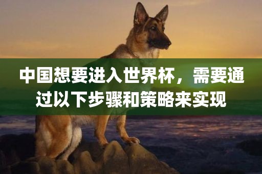 中国想要进入世界杯，需要通过以下步骤和策略来实现