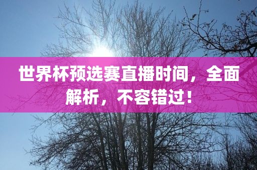 世界杯预选赛直播时间，全面解析，不容错过！