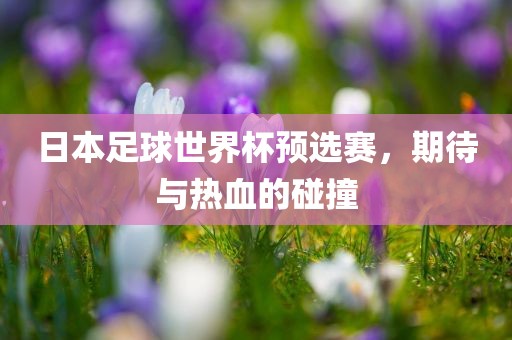 日本足球世界杯预选赛，期待与热血的碰撞