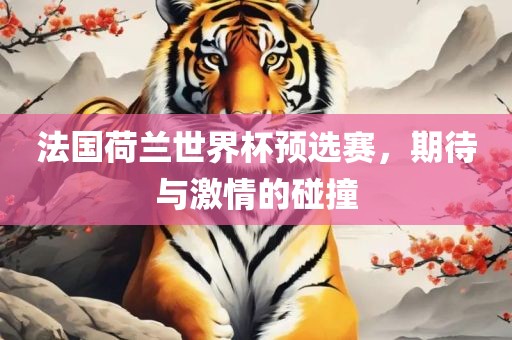 法国荷兰世界杯预选赛，期待与激情的碰撞