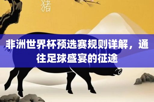 非洲世界杯预选赛规则详解，通往足球盛宴的征途